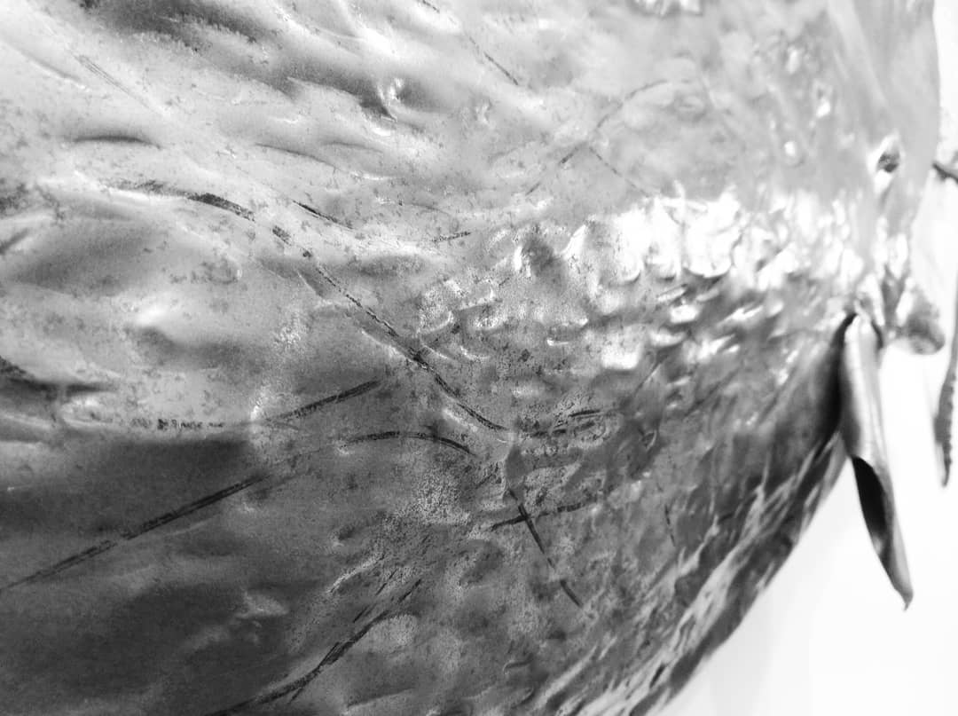 Dettaglio della pelle del Capodoglio di ferro /Detail of the skin of the iron Sperm Whale 