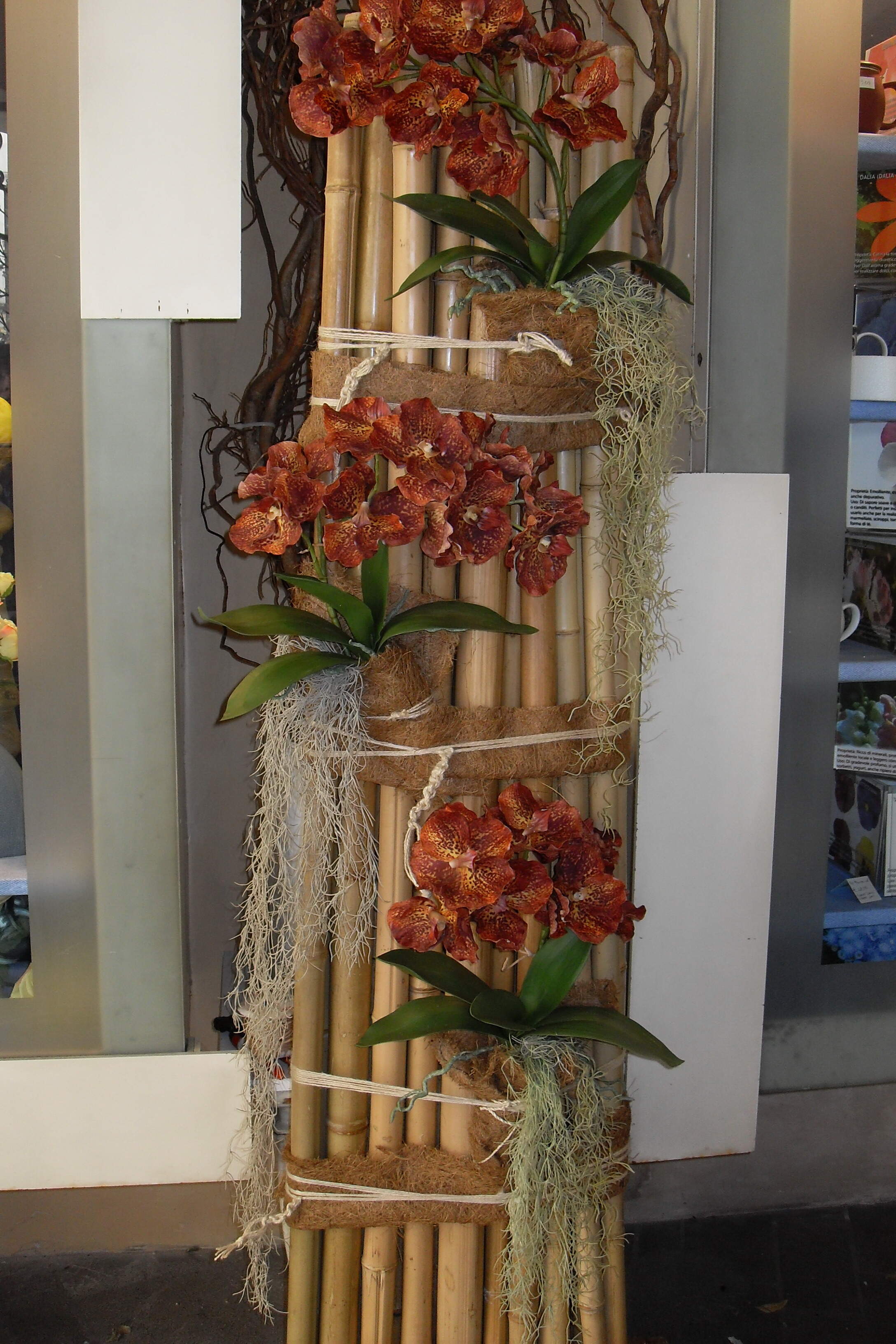 canne di bambù, filo di yucca foglie di orchidea, fiori di orchidea spago
