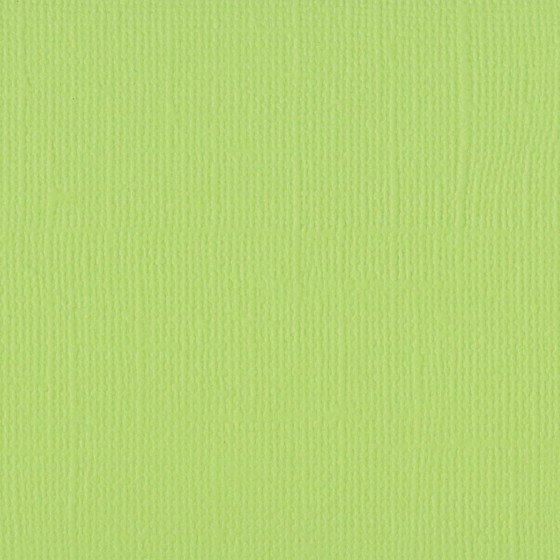 2928-067 Florence • Cardstock texture 30,5x30,5cm Celery