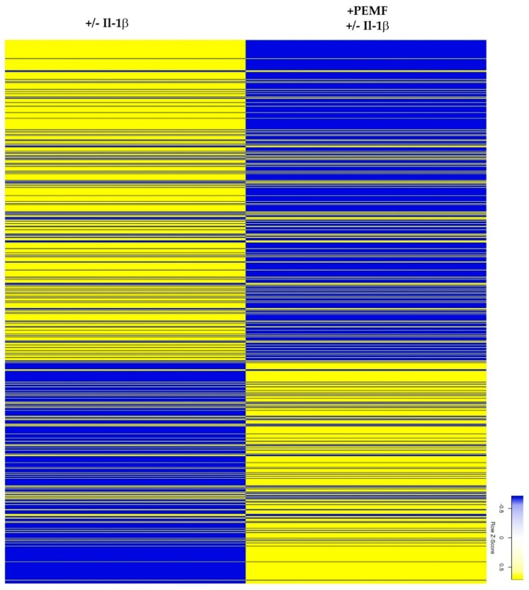 cells-08-00399-g003jpg