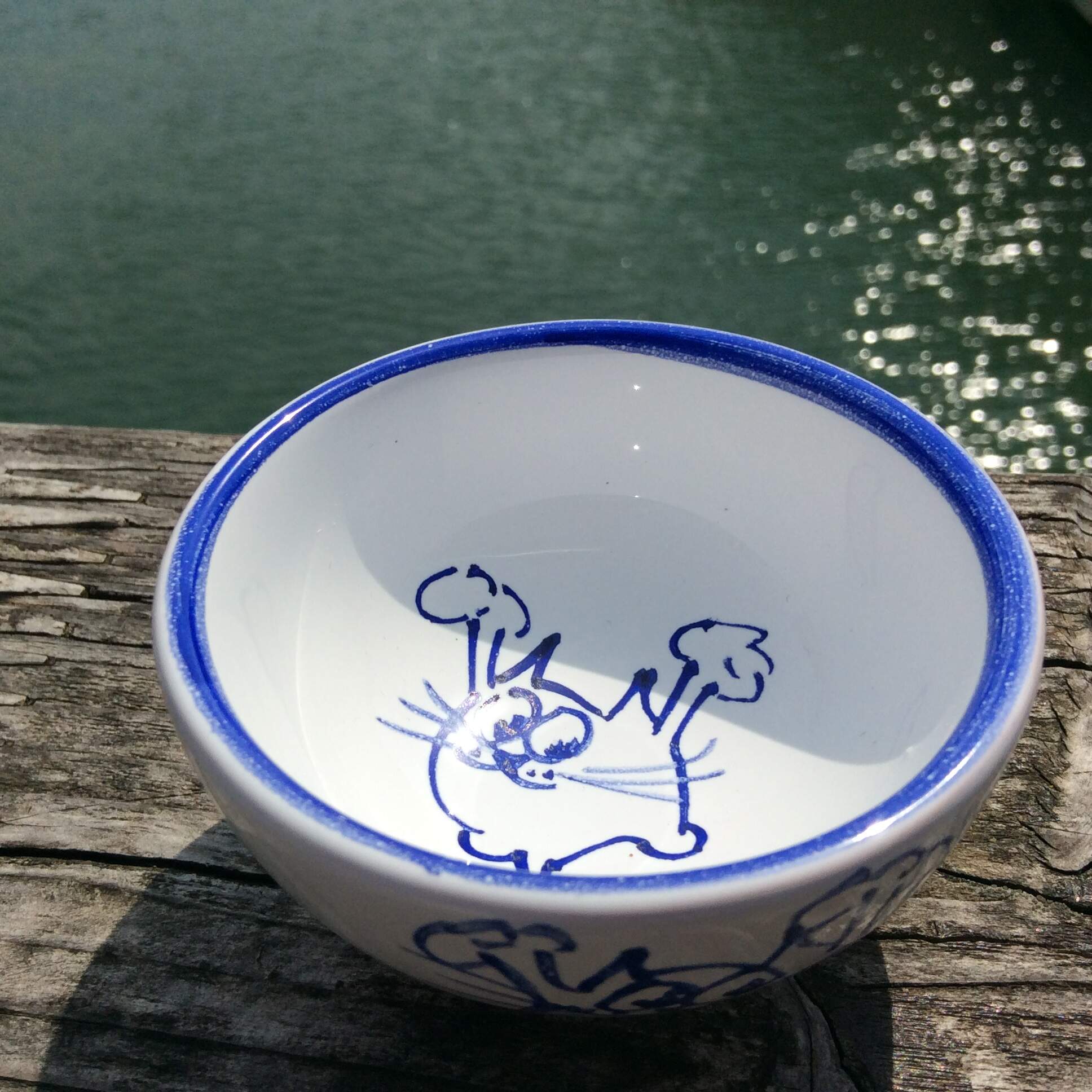 bowl cats blue
