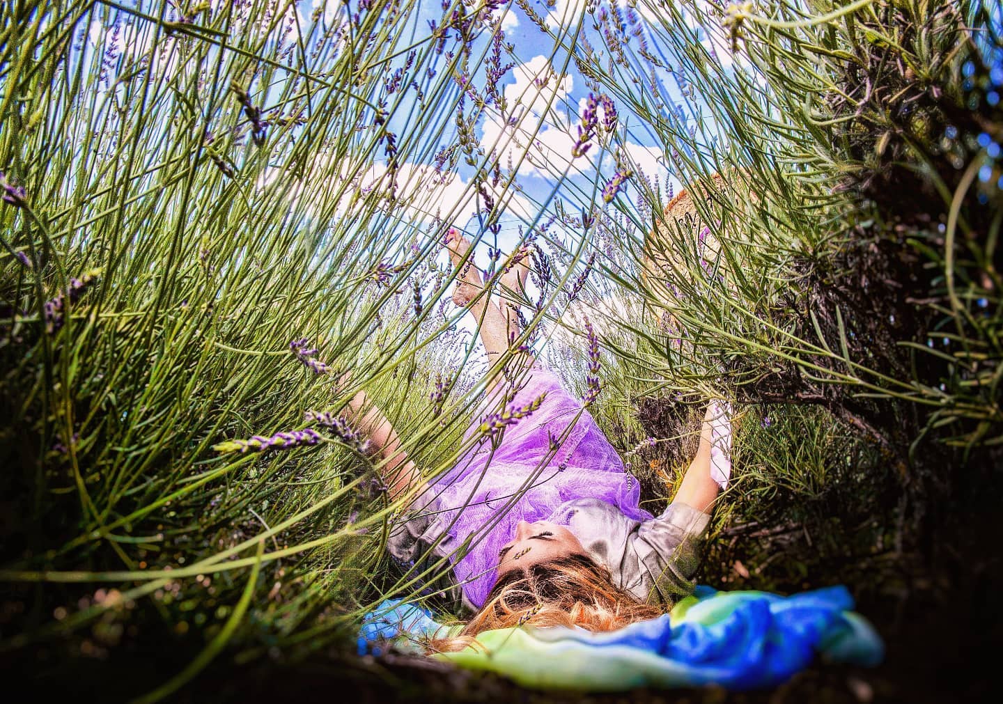 donna sdraiata in abito fuxia in un campo di lavanda, Umbria