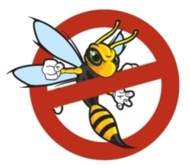disinfestazione vespe