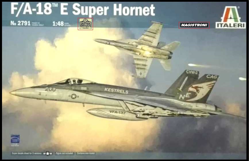 F/A-18 E SUPER HORNET