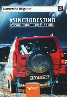 #SINCRODESTINO - Domenico Brigante