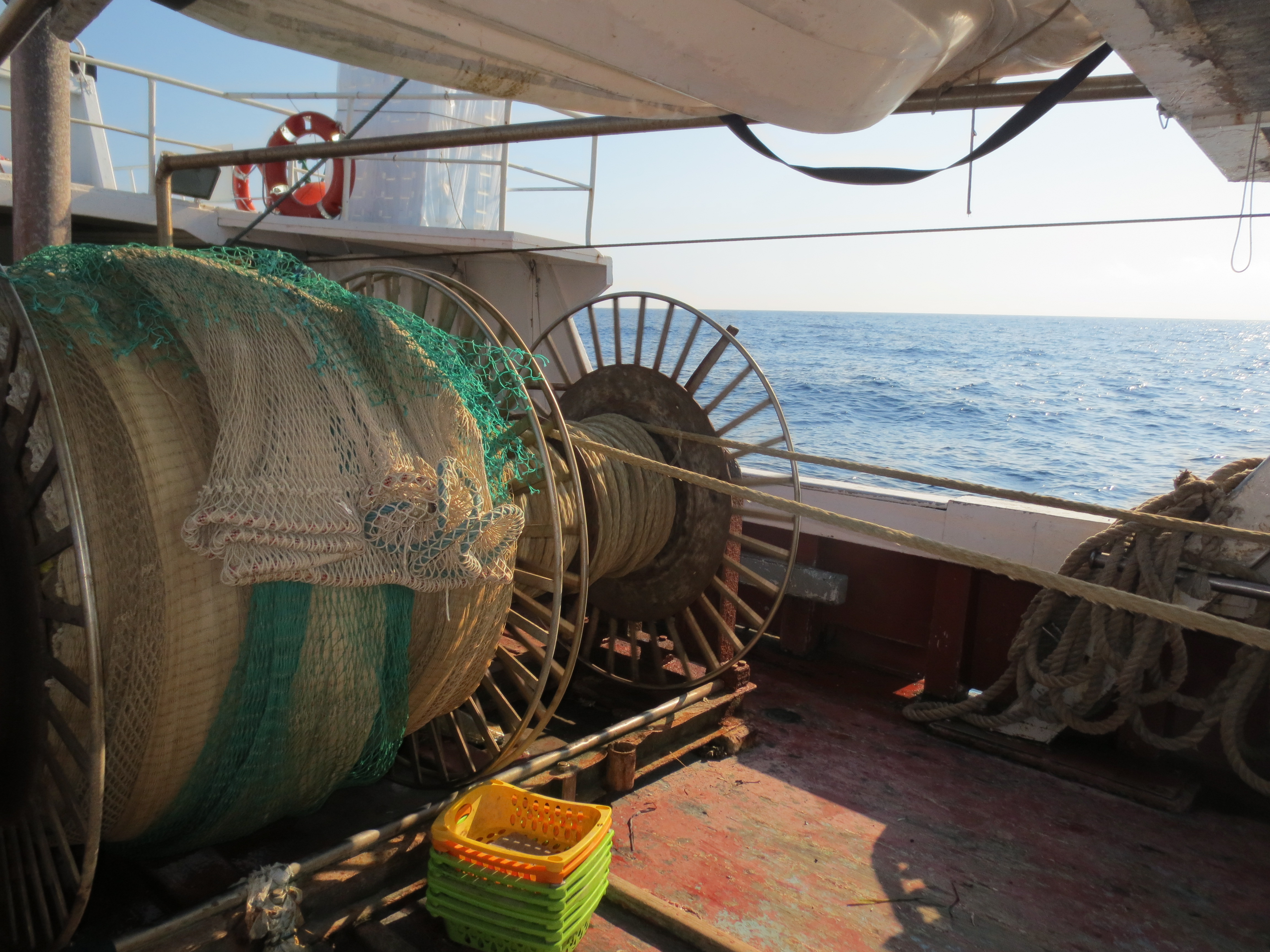 Campagne di pesca a strascico e reti da posta per valutazione ambientale rigassificatore offshore