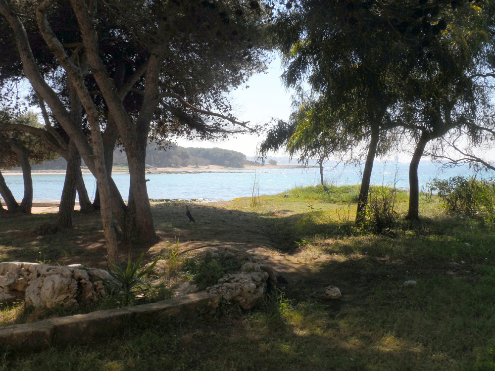 Appartamenti Sul Mare Gallipoli La Spiaggia Sotto Casa