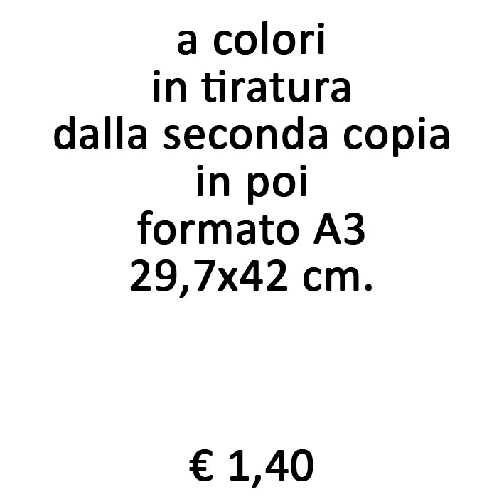 fotocopie a colori in tiratura dalla seconda copia in poi formato A3 250 gr.