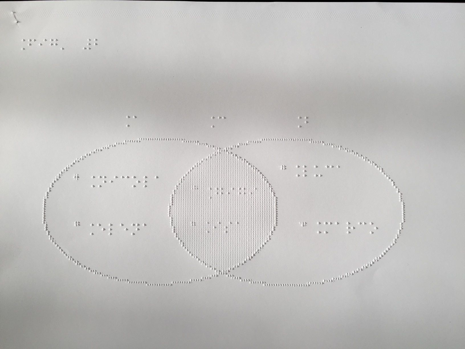 materiale tiflodidattico, campo da basket a rilievo braille