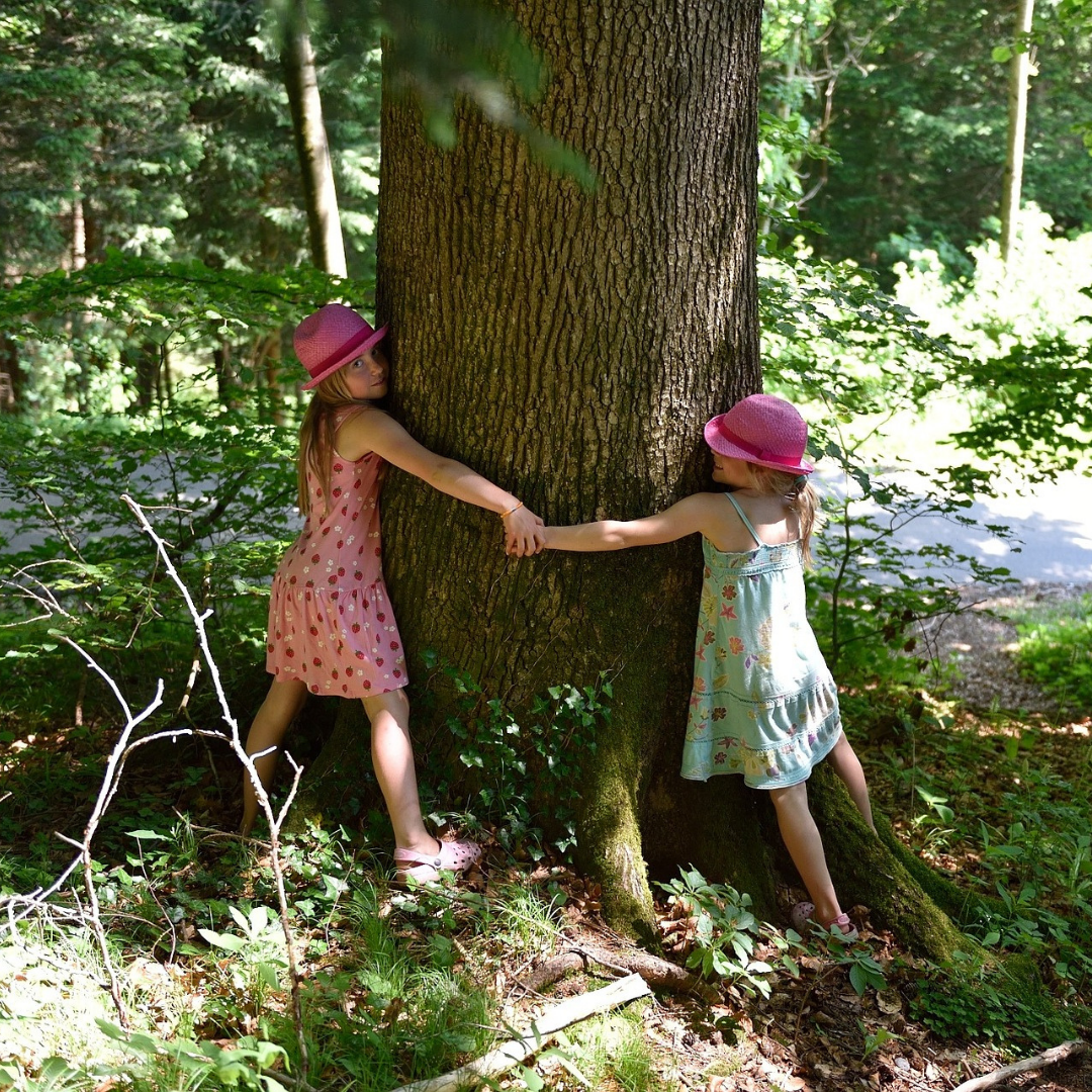 Un albero per amico