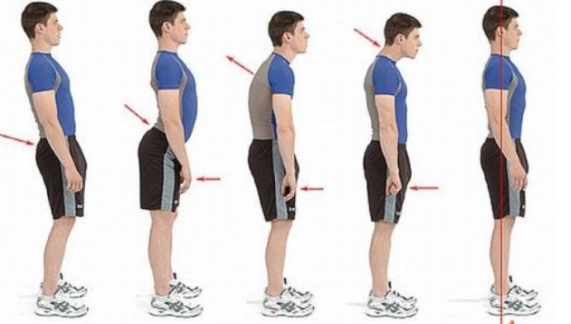 Postura e muscolatura addominale