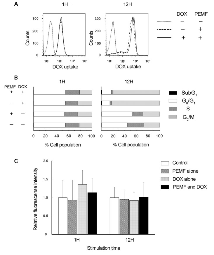 in_vivo-31-64-g0001jpg