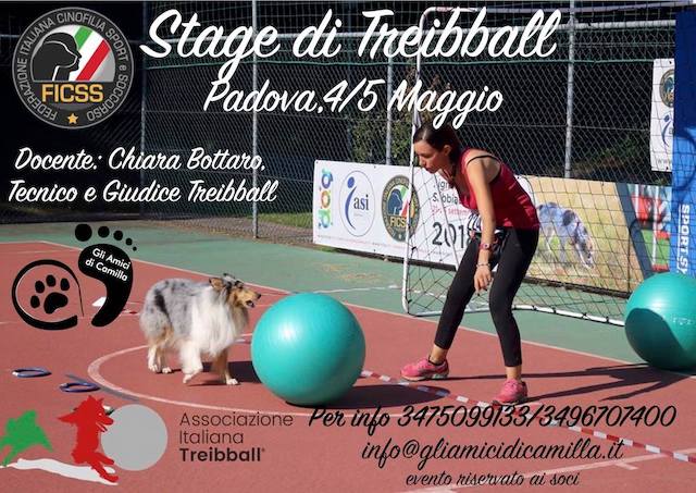 Stage di Treibball con Chiara Bottaro - 4/5 Maggio 2019 Padova