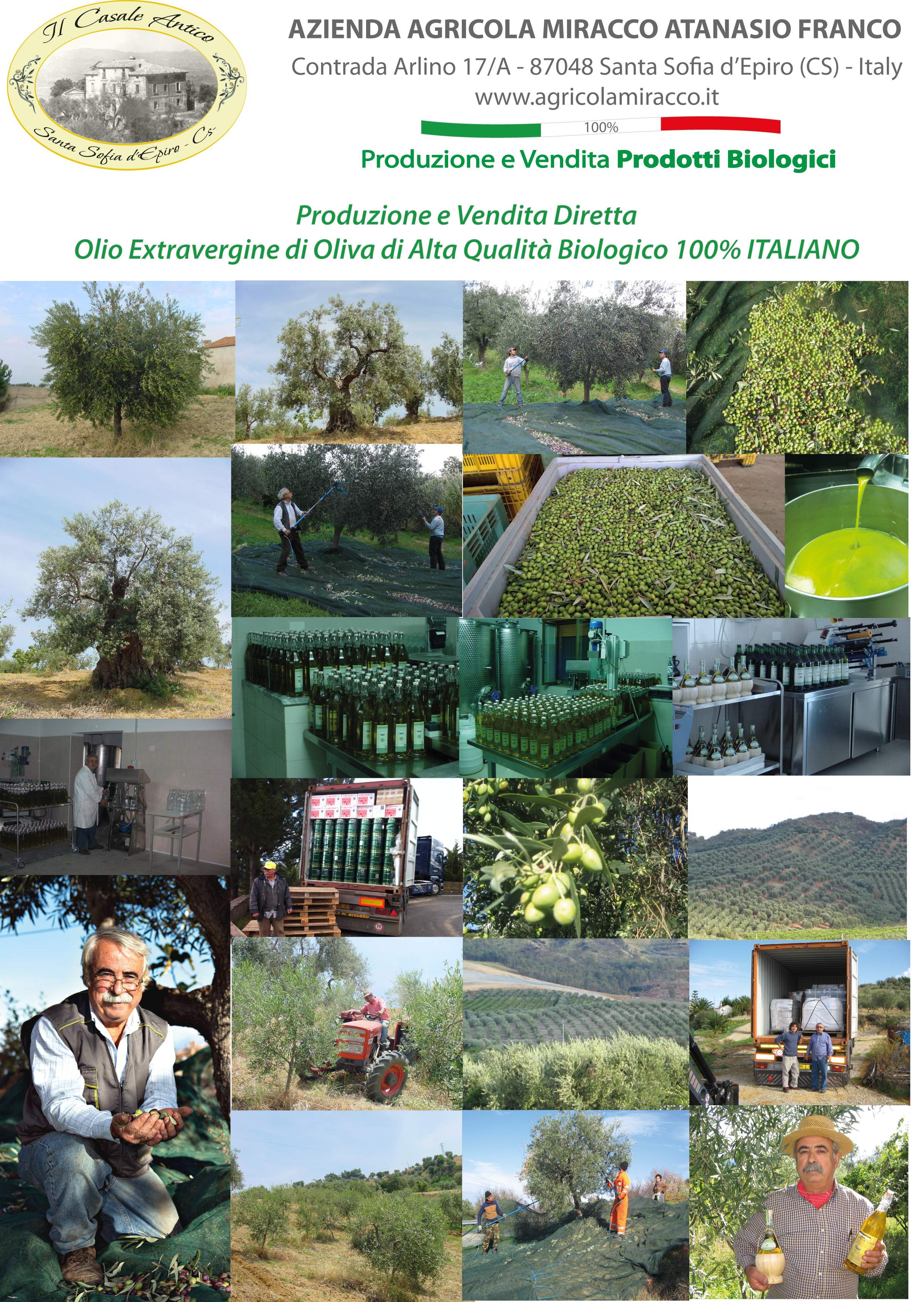 Olio Extravergine di Oliva Biologico 100% Italiano 1 Latta da 5 Lt