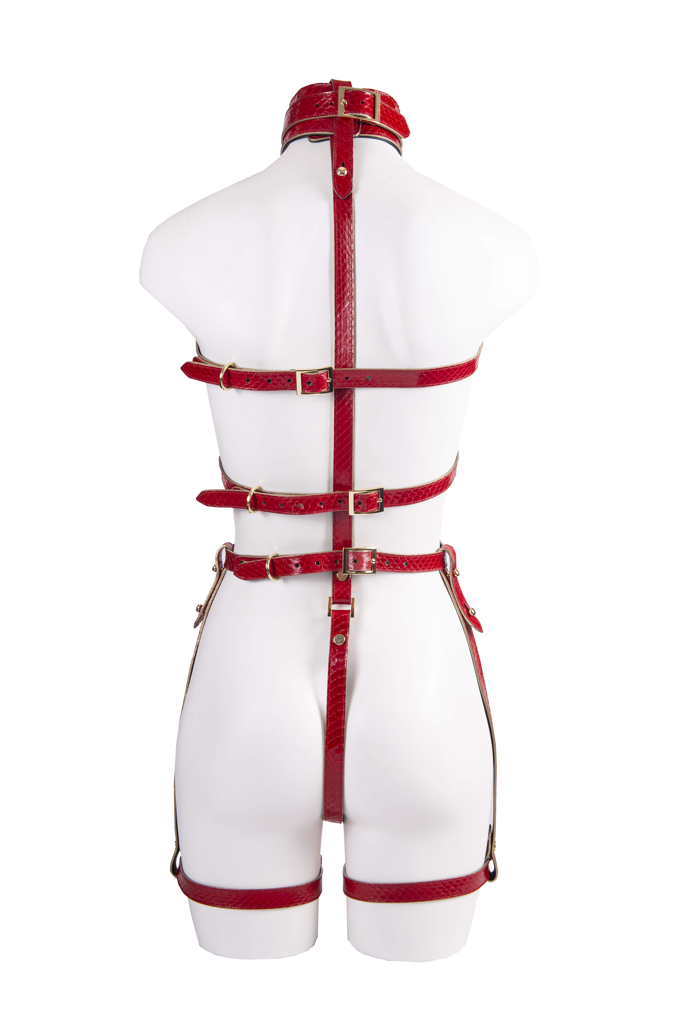 Harness in Real Snake Col.Rosso