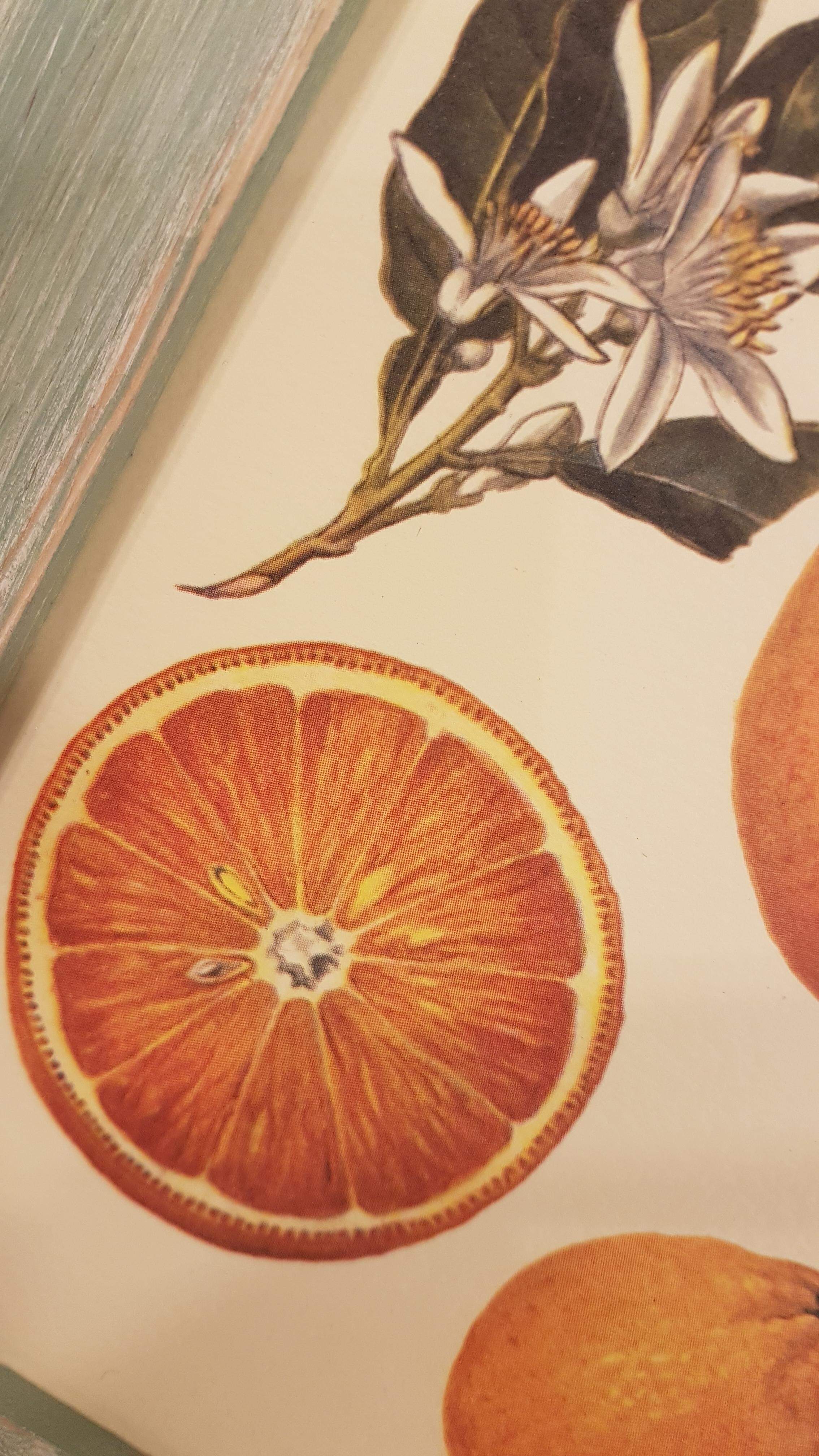 Quadro per cucina arance