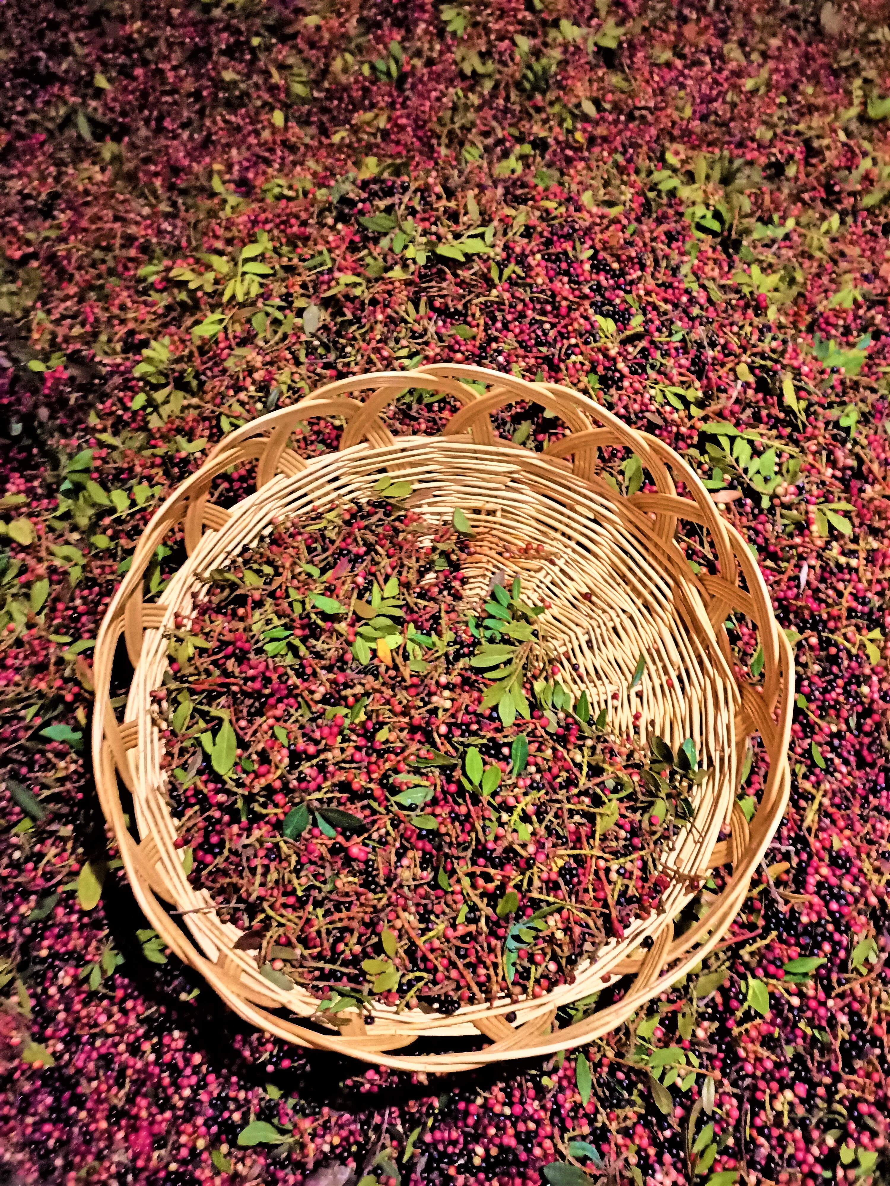 Our baskets are conceived and produced by sardinian artisans.