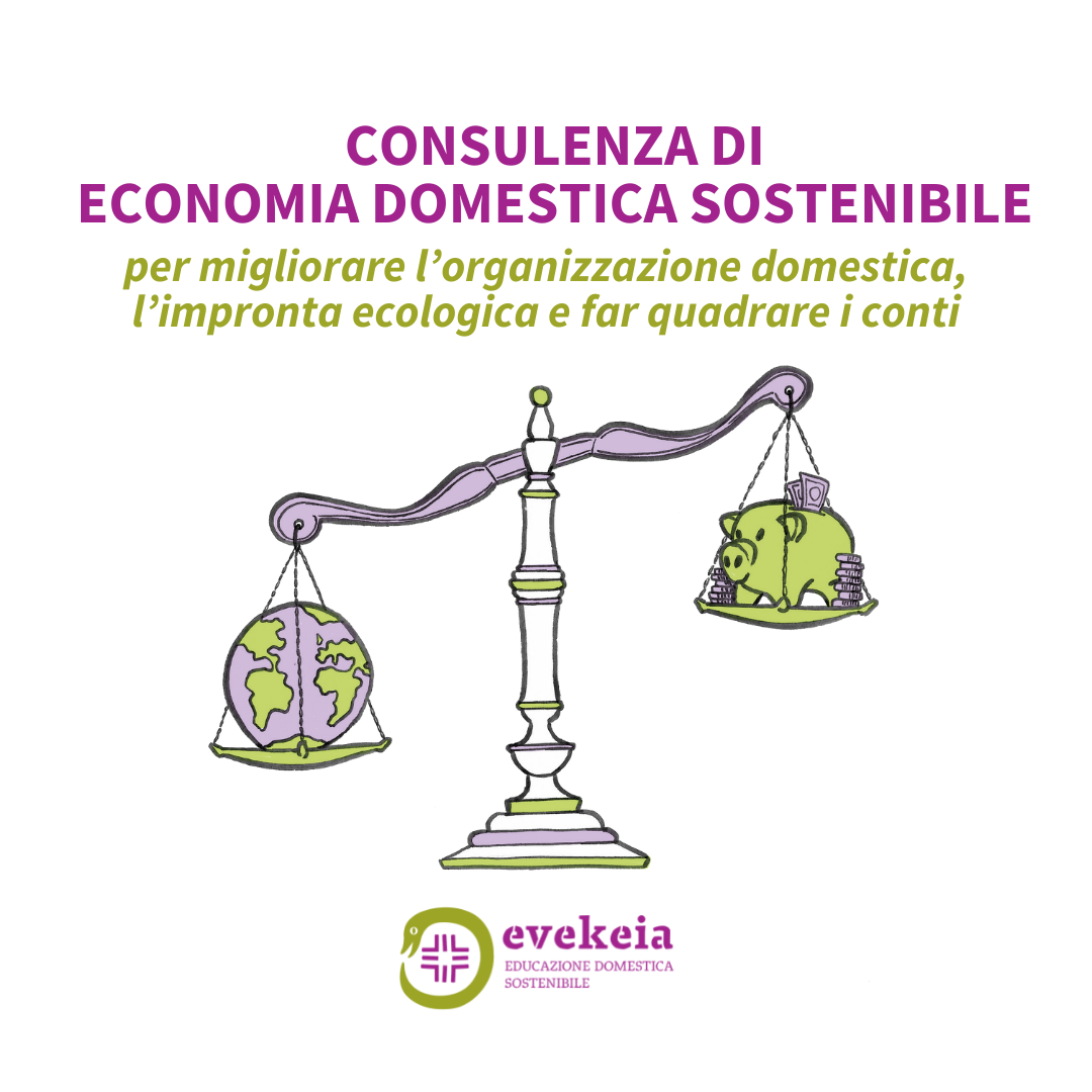 Consulenza di economia domestica sostenibile