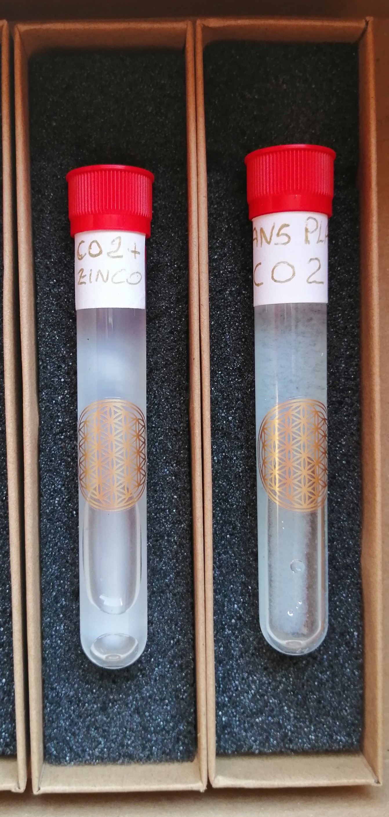 Set di Penne della salute "Life Pen di CO2 + zinco e aminoacidi e Penna con CO2  " al Plasma curativ