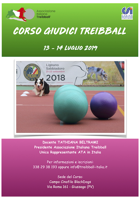 Corso Giudici Treibball - 13/14 Luglio 2019 Giussago (PV)