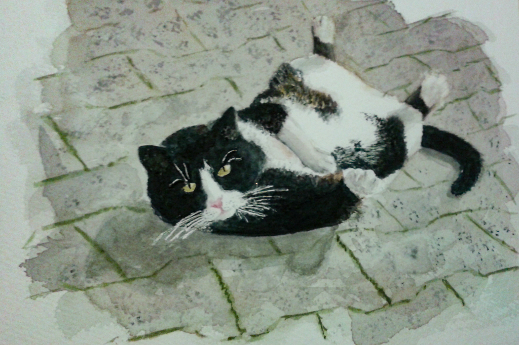 waterpiant of my fat cat called Zorro