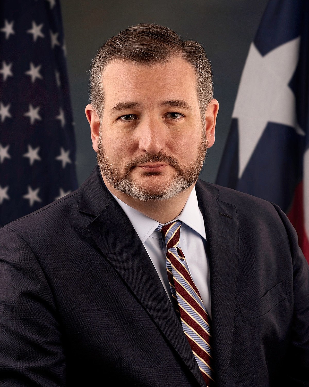 Ted_Cruz_senatorial_portraitjpg