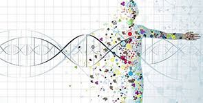 IL CORPO UMANO E I CAMPI BIOMAGNETICI