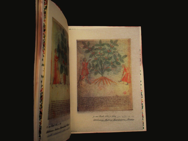 Edizione Artigiana - Antico Erbario - Copertina stampata