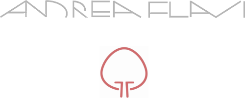 Andrea Flavi Brand Logo