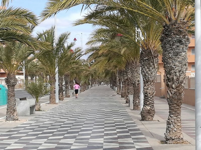 Generazione Erasmus, fra Alicante e i lungomare di palme