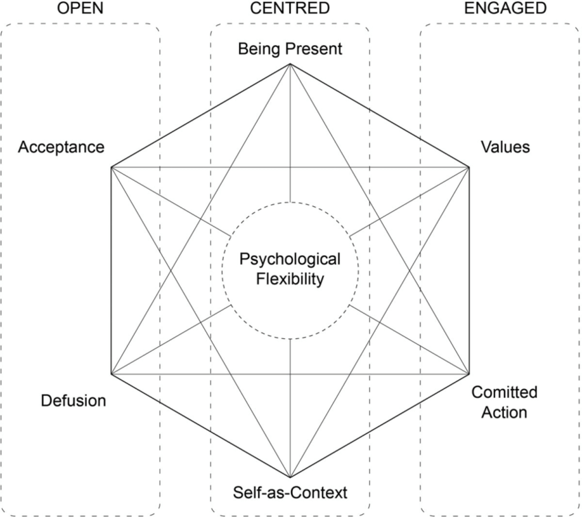 Hexaflex, act, Acceptance and Commitment therapy