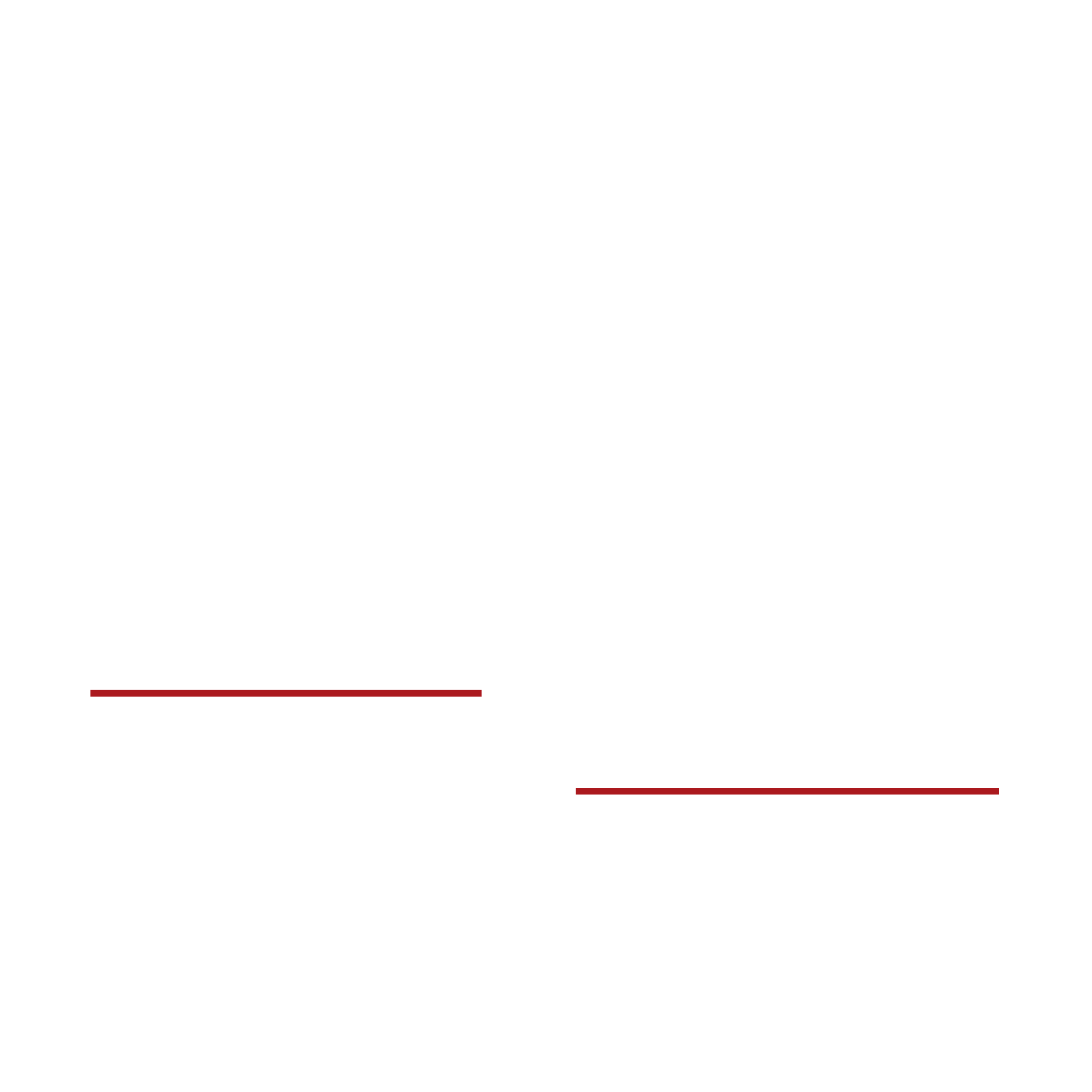 LadyMan Coiffeur