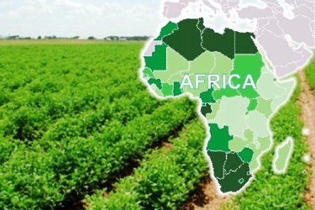 Agribusiness in Africa