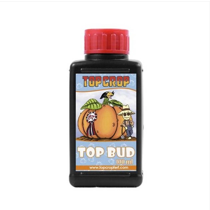 306 Top Crop Top Bud