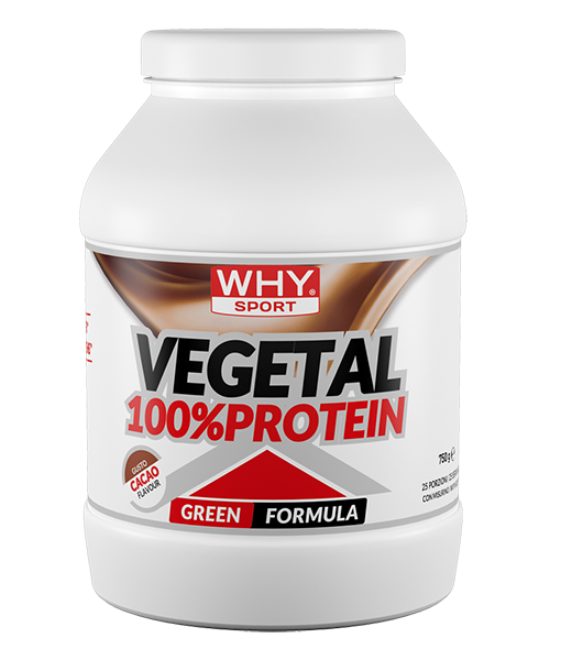 WHY 100% VEGETAL PROTEIN 750g