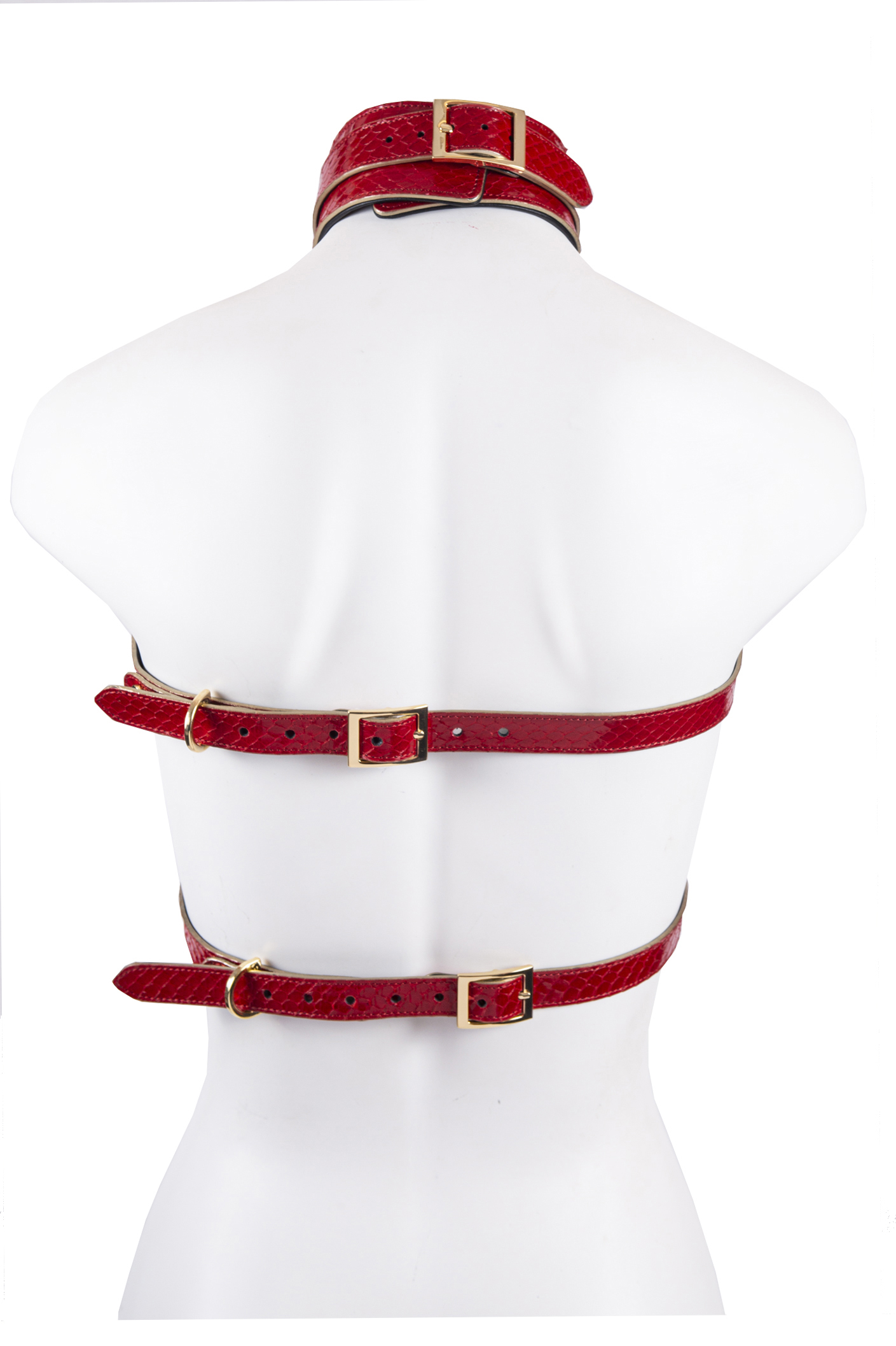 Harness in Real Snake Col.Rosso