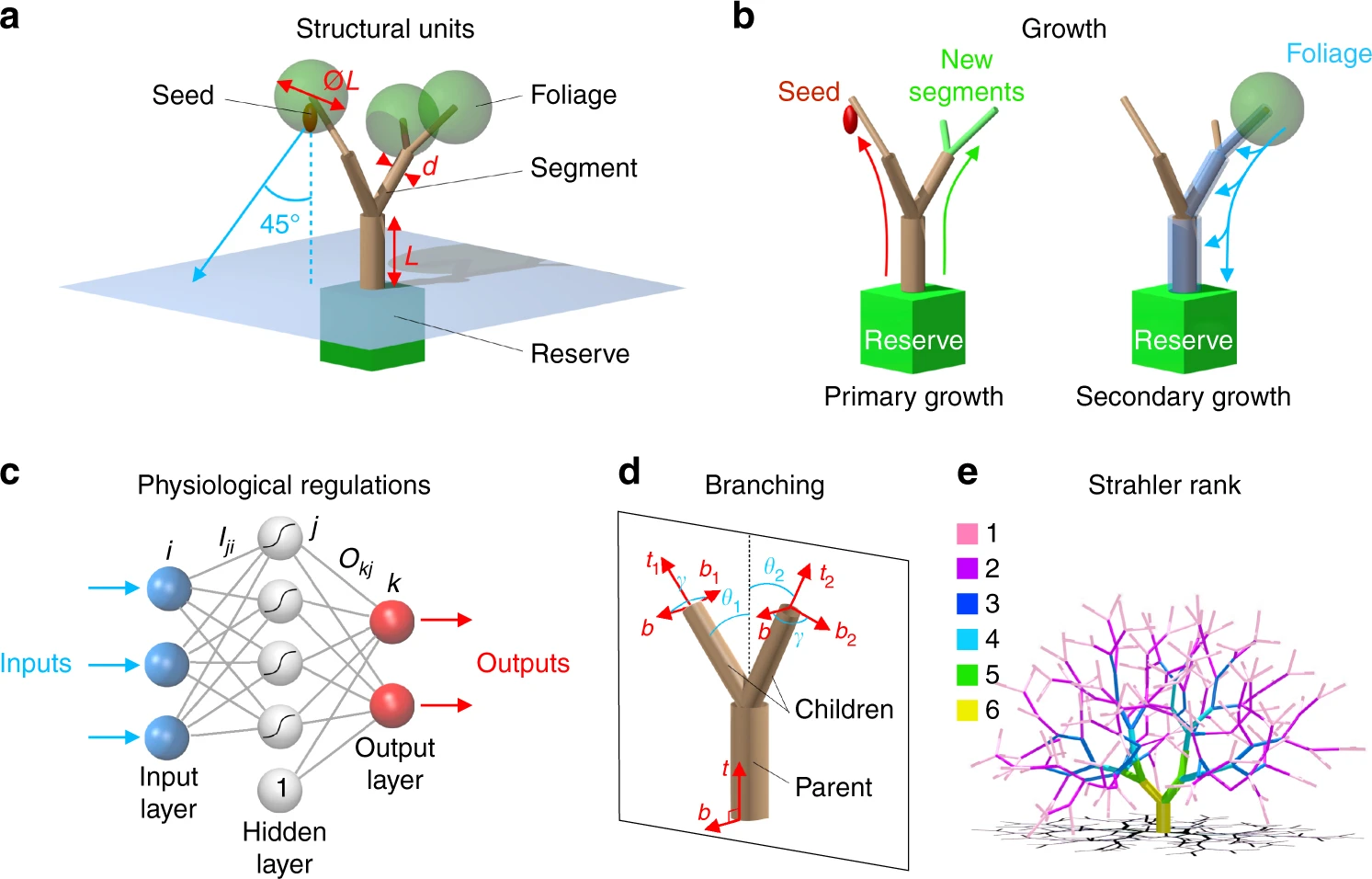 Biomeccanica applicata agli alberi e censimento arboreo, supporto alla ricerca scientifica