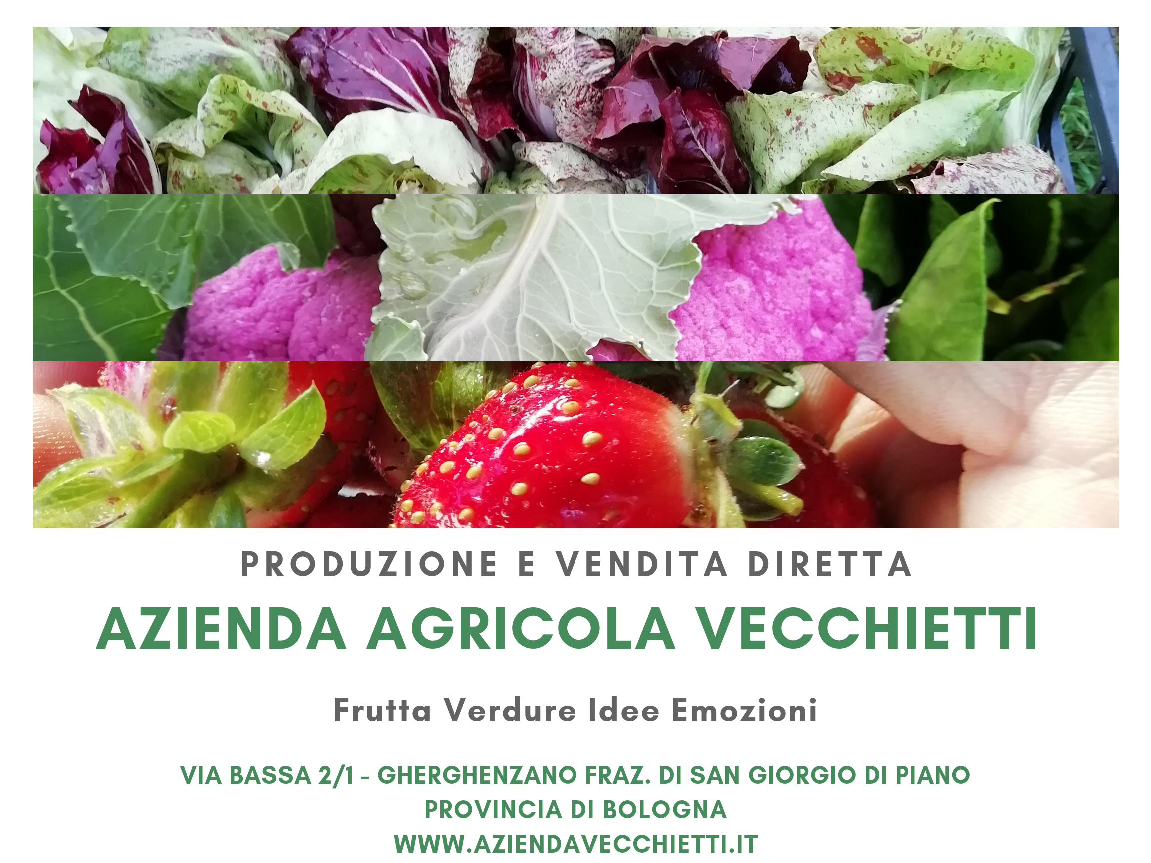 Azienda Agricola Vecchietti