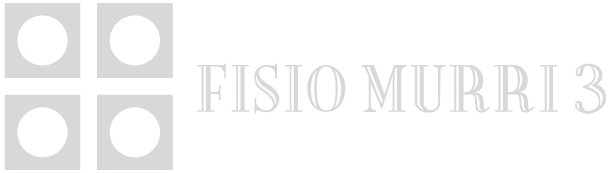 www.fisiomurri3.com