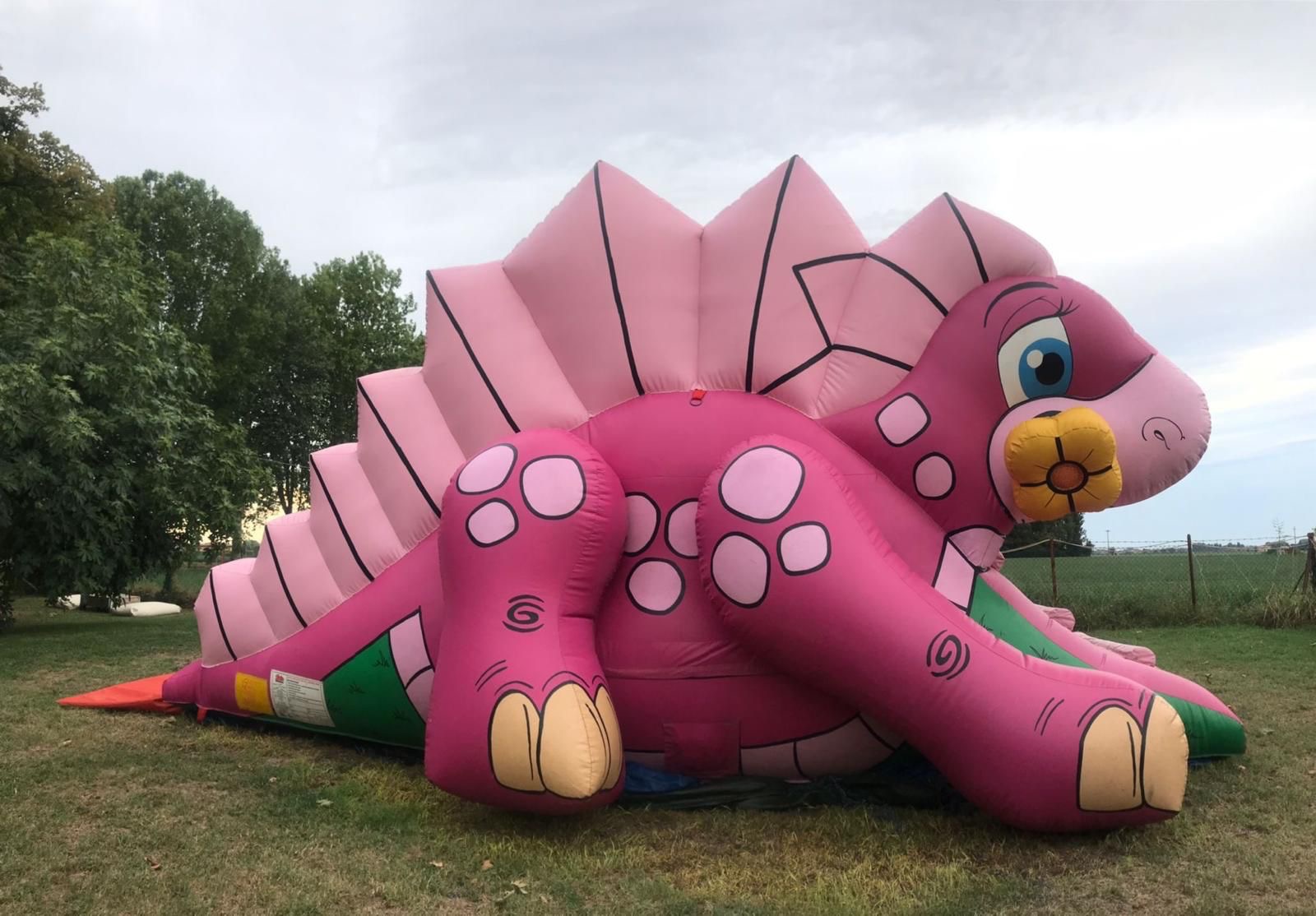 colorato gonfiabile rosa a forma di dinosauro, con i suoi 6m di profondità, largo 3,5m e alto 3,5m