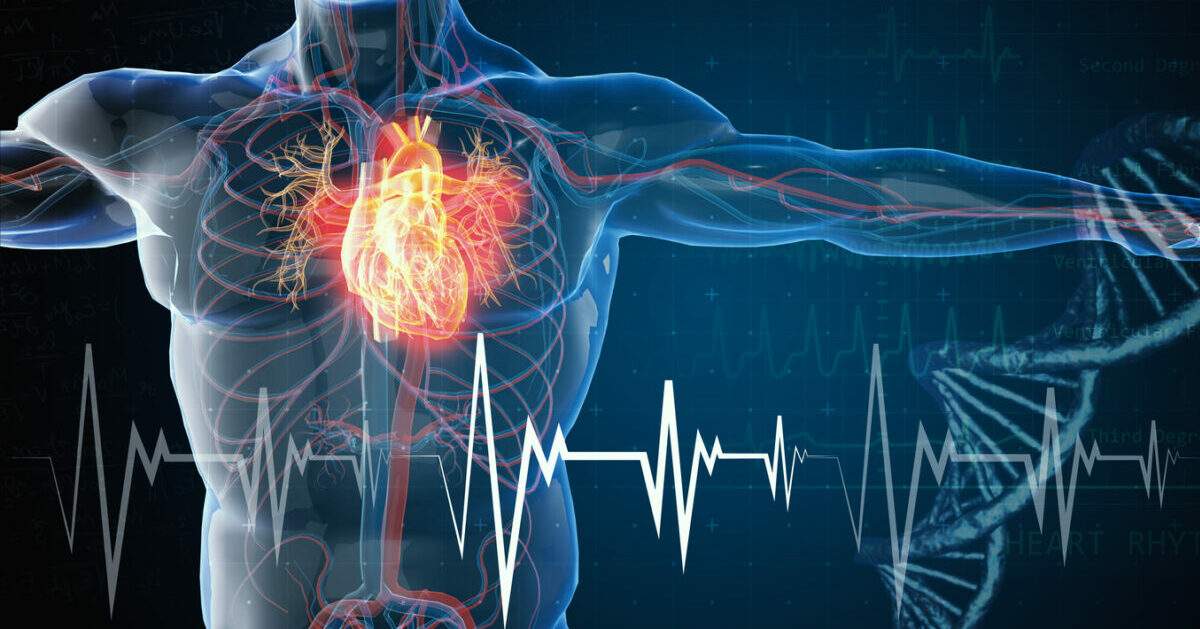 Fattori di rischio e mortalità per malattie cardiovascolari nel mondo