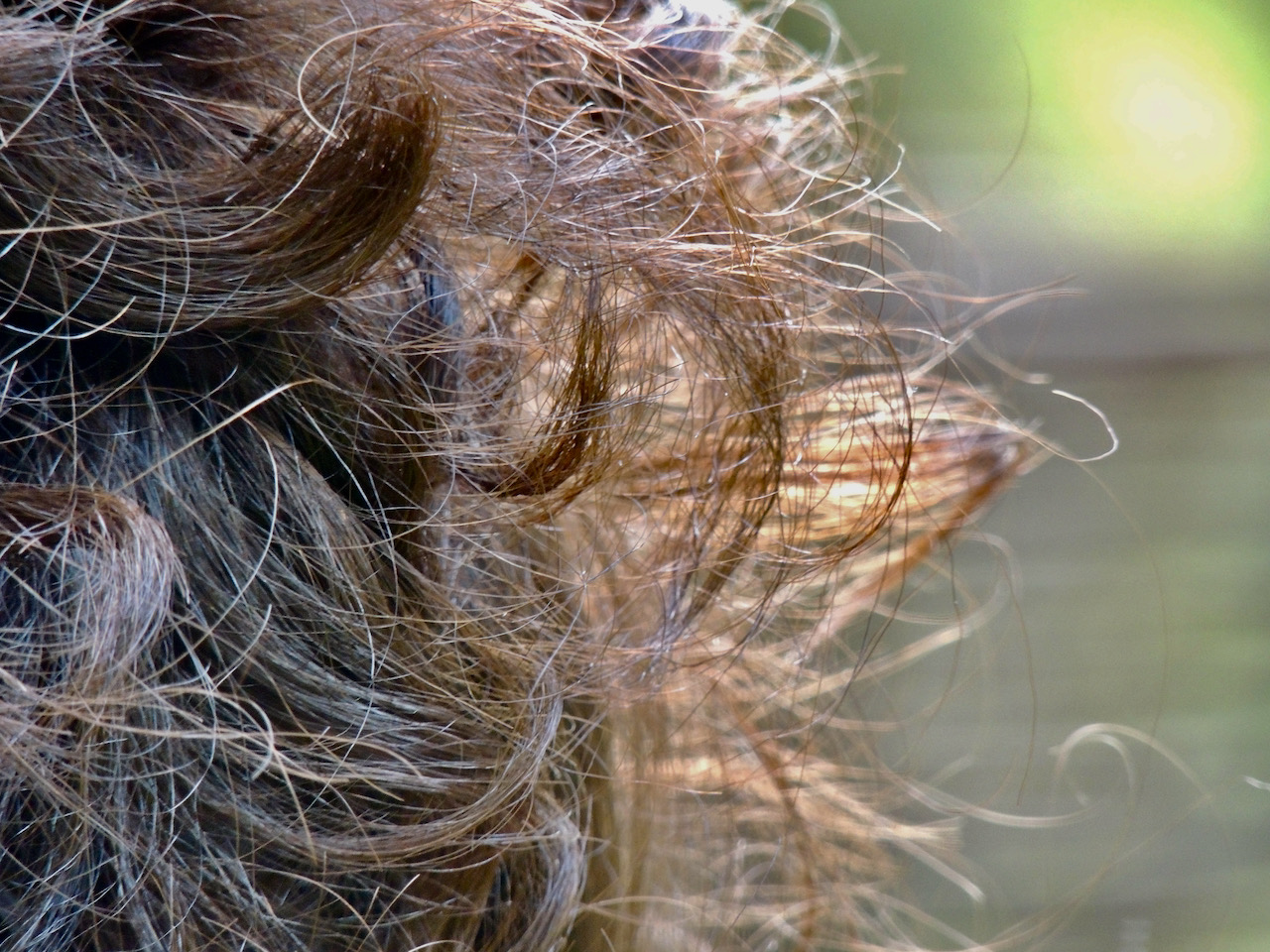 Ansia, capelli, testa, Levico Terme, Trentino