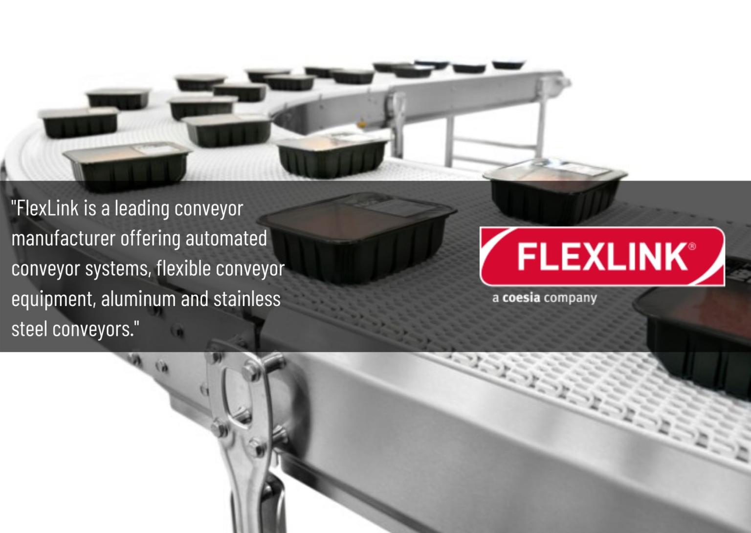 Clienti: FlexLink Systems S.p.A.