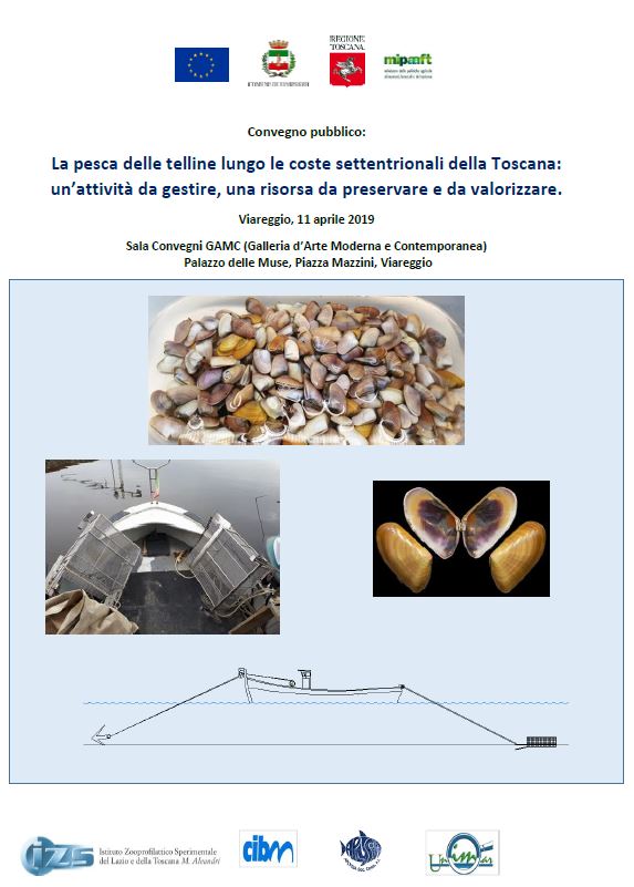 CONVEGNO: "La pesca delle telline lungo le coste settentrionali della Toscana: un’attività da gestire, una risorsa da preservare e da valorizzare"