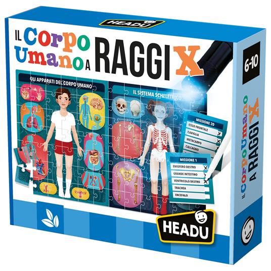 HEADU CORPO UMANO A RAGGI X