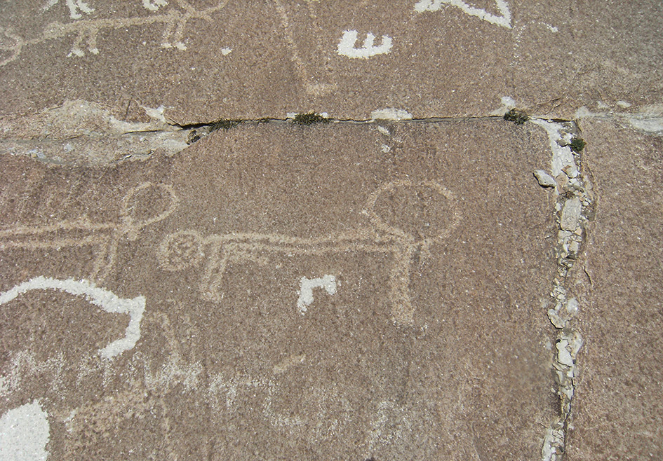 Petroglifi del Tajikistan, sognando Alessandro e Marco Polo