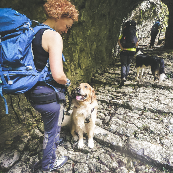 escursionismo con il cane
